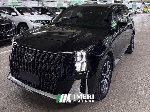 2023 GAC Aion GS8 2022 Dual Engine 2.0T M AWD Luxury Edition 7-Seater - ავტომობილი ჩინეთიდან
