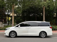 Buick GL8 ES Land Respect 653T Respect Enjoyment Edition - ფოტო 3