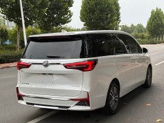 Buick GL8 ES Land Respect 653T Respect Enjoyment Edition - ფოტო 5