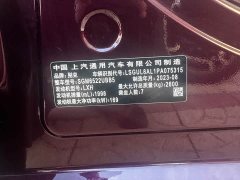 Buick GL8 Avenir Edition - ფოტო 17