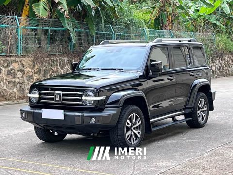 2022 Tank 300 2021 City Edition 2.0T Stylish - ავტომობილი ჩინეთიდან