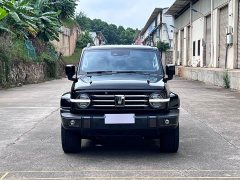 Tank 300 2021 City Edition 2.0T Stylish - ფოტო 2