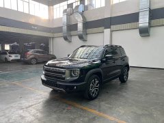 Great Wall Haval Big Dog Dachshund 1.5T DCT Border Collie Edition - ფოტო 1