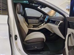 BYD Song Plus New Energy New Energy 2025 DM-i 112KM Prestige - ფოტო 19