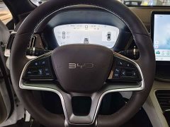 BYD Song Plus New Energy New Energy 2025 DM-i 112KM Prestige - ფოტო 7