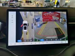 BYD Song Plus New Energy New Energy 2025 DM-i 112KM Prestige - ფოტო 9