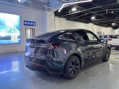 Tesla Model Y Rear-Wheel Drive - ფოტო 17