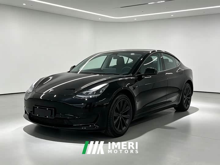 Tesla Model 3 Standard Range RWD Upgrade 3D6