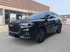 Haval H6 National Trend Edition 1.5T Automatic Urban Version - ფოტო 1