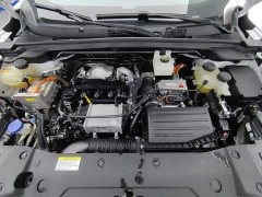 Dongfeng Fengshen L7 205 Plus - ფოტო 6