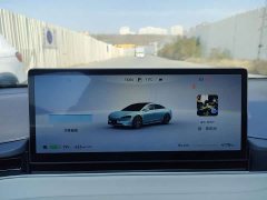 Luxeed Zhiji S7 785km Ultra - ფოტო 19