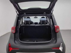Chery Ant Sweet Pink Micro Sugar Phosphate Iron Lithium 30kW 301km - ფოტო 16