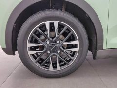 Chery Ant Sweet Pink Micro Sugar Phosphate Iron Lithium 30kW 301km - ფოტო 17
