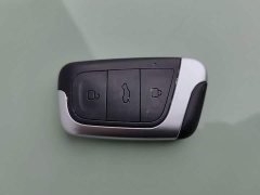 Chery Ant Sweet Pink Micro Sugar Phosphate Iron Lithium 30kW 301km - ფოტო 19