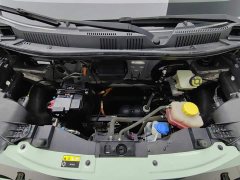 Chery Ant Sweet Pink Micro Sugar Phosphate Iron Lithium 30kW 301km - ფოტო 6
