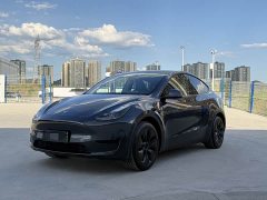 Tesla Model Y Rear-Wheel Drive - ფოტო 1