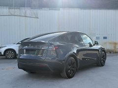 Tesla Model Y Rear-Wheel Drive - ფოტო 11