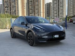 Tesla Model Y Rear-Wheel Drive - ფოტო 3