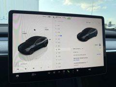 Tesla Model Y Rear-Wheel Drive - ფოტო 8