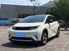 BYD Dolphin 2023 420km Fashion Edition - ფოტო 1