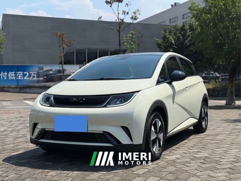 2024 BYD Dolphin 2023 420km Fashion Edition - ავტომობილი ჩინეთიდან