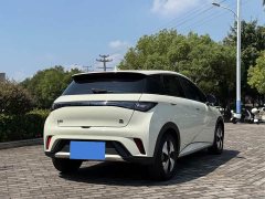 BYD Dolphin 2023 420km Fashion Edition - ფოტო 6