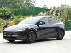 Tesla Model Y Long Range All-Wheel Drive - ფოტო 1