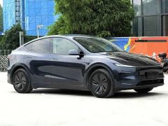 Tesla Model Y Long Range All-Wheel Drive - ფოტო 3