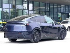 Tesla Model Y Long Range All-Wheel Drive - ფოტო 6