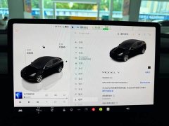 Tesla Model Y 2022 Rear-Wheel Drive - ფოტო 11