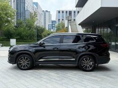 Chery Tiggo 8 PRO Champion Edition 290T FWD Peak Version 5-Seater - ფოტო 3