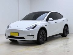 Tesla Model Y Rear-Wheel Drive - ფოტო 1