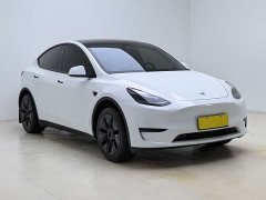 Tesla Model Y Rear-Wheel Drive - ფოტო 3