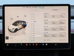Tesla Model Y Rear-Wheel Drive - ფოტო 8