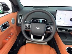 Li Auto L6 Pro Smart Refresh Edition - ფოტო 13