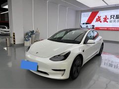 Tesla Model 3 Standard Range RWD Upgrade - ფოტო 1