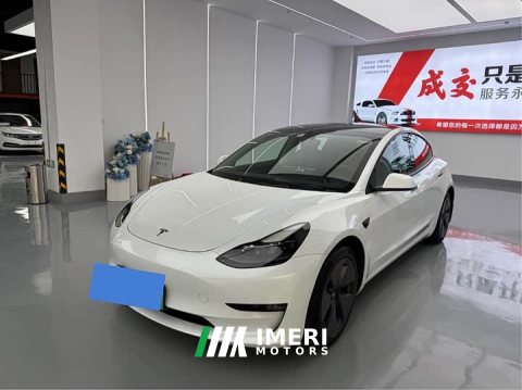2021 Tesla Model 3 Standard Range RWD Upgrade - ავტომობილი ჩინეთიდან