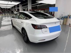 Tesla Model 3 Standard Range RWD Upgrade - ფოტო 14