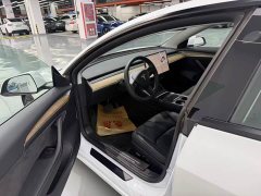 Tesla Model 3 Standard Range RWD Upgrade - ფოტო 9