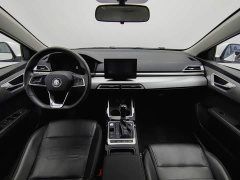 BYD Qin 1.5L Luxury Version - ფოტო 5