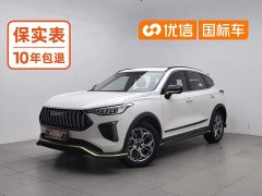 Haval Chitu Jingxiang Edition 1.5T Purple Copper Rabbit - ფოტო 1