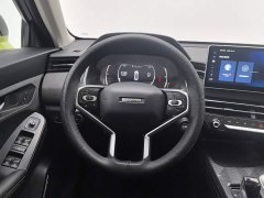 Haval Chitu Jingxiang Edition 1.5T Purple Copper Rabbit - ფოტო 11