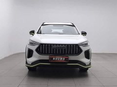 Haval Chitu Jingxiang Edition 1.5T Purple Copper Rabbit - ფოტო 3