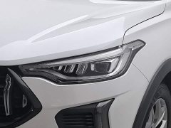 Haval Chitu Jingxiang Edition 1.5T Purple Copper Rabbit - ფოტო 7