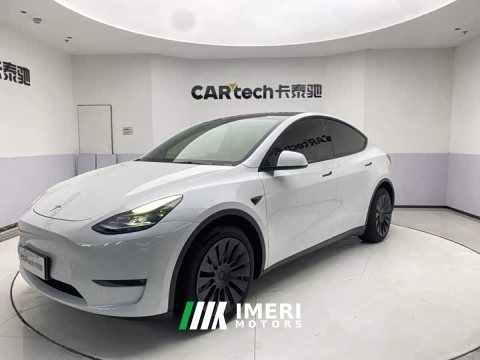 2021 Tesla Model Y Standard Range RWD - ავტომობილი ჩინეთიდან