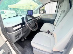 Dà Ná Dana V1 Short Wheelbase Low Roof (42kWh) - photo 5