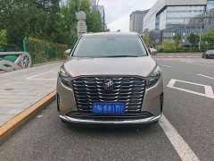 Buick GL8 ES Luxe Enjoyment Edition - ფოტო 2