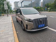Buick GL8 ES Luxe Enjoyment Edition - ფოტო 3