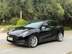 Tesla Model Y Standard Range RWD - ფოტო 1