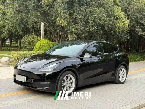 2021 Tesla Model Y Standard Range RWD - ავტომობილი ჩინეთიდან